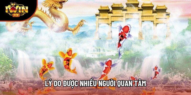 Lý do được nhiều người quan tâm